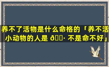 养不了活物是什么命格的「养不活小动物的人是 🌷 不是命不好」